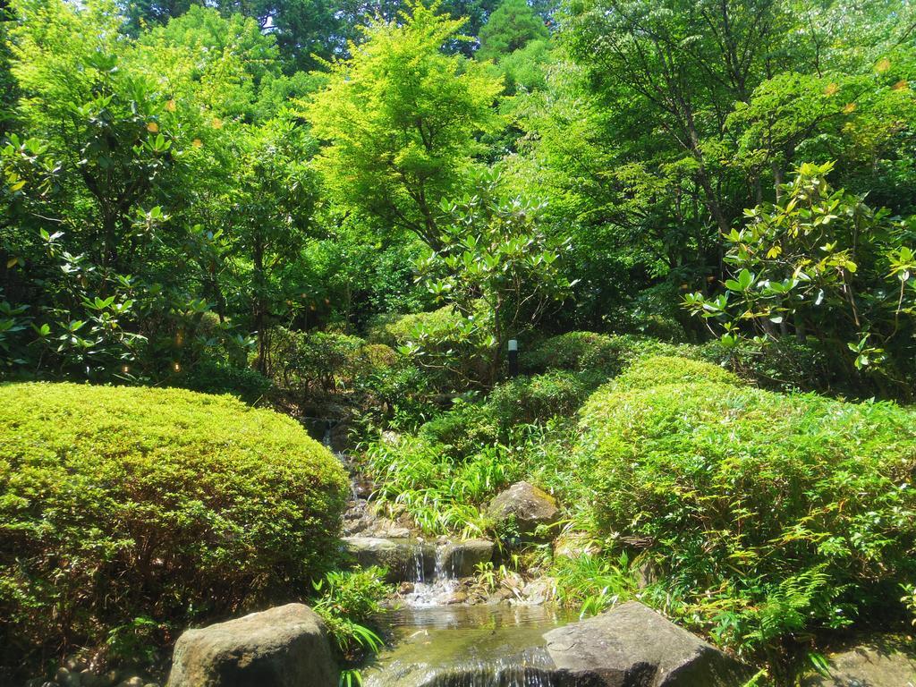 فندق Hakone Gora Onsen Yumenoyu المظهر الخارجي الصورة